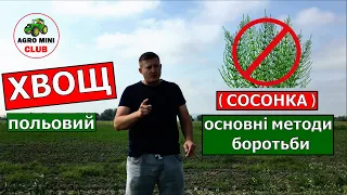 Хвощ польовий. Як знищити хвощ польовий?Сосонка на полі чим кропити? Боротьба з сосонкою.Кислотність