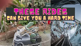 These Rides in Disney Animal Kingdom Can Give You a Hard Time if You are a Plus Size Guest