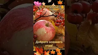 С добрым утром! Мира🌿🕊 добра радости вашему дому!🌎🌿🕊