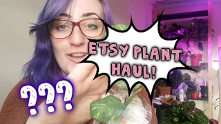 Etsy Houseplant Wishlist Haul (with RARE plant!) #supportsmallbusiness | PLANT UNBOXING