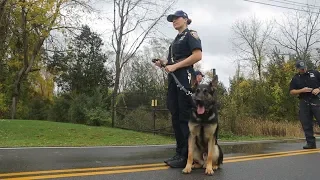 Police Dog: Training your best friend