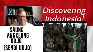 Saung Angklung Udjo, Pro Violinist Reaction