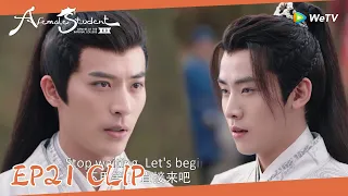 EP21 Clip | Yunzhi won the competition in martial arts and he can marry Qi! | 国子监来了个女弟子| ENG SUB