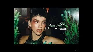 Dua Lipa - We're Good [1 hour loop]