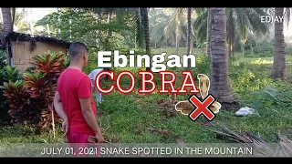AHAS- SNAKE EBINGAN Cobra NAKITA PERO HINDI NAHULI- Vlog #79 July 01, 2021