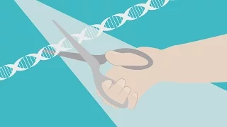 CRISPR/CAS9 : une méthode révolutionnaire
