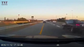 Sad and painful scenes of cars hitting animals