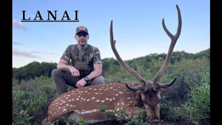 3.7 | Axis deer hunt | Lanai Hawaii