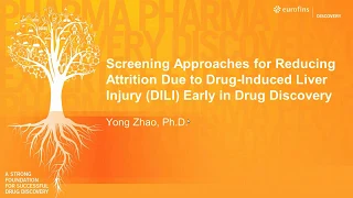 Screening Approaches for Reducing Attrition Due to Drug-induced Liver Injury Early in Drug Discovery