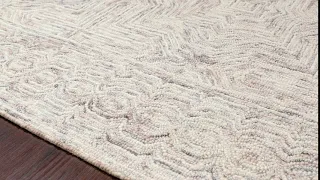 Loloi II Ziva Zv-01 Neutral Area Rug