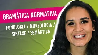 GRAMÁTICA NORMATIVA: Fonologia/ Morfologia/ Sintaxe/ Semântica (Aprenda a diferenciar!)