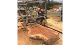 Chainsaw Milling 4' wide Elm Slabs!