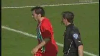 Del Piero imitating divers.