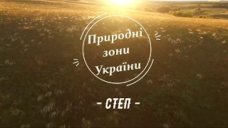 Природні зони України: степ. Проект "ГЕОГРАФІЯ" by Fastov Ivan