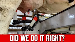 Robot Maintenance Day. Did we do it right?? - Cow Palace #74