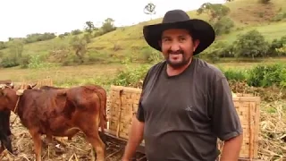 MUTIRÃO DE CARROS DE BOIS - SÃO SEBASTIÃO DO RIO VERDE MG