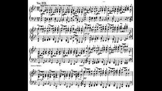 Brahms Variations and Fugue on a Theme by Handel Op.24 布拉姆斯 韓德爾主題 變奏曲 賦格 Score Sheet 譜 谱 楽譜付き 【Kero】