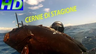 PESCA SUB CERNIE DI STAGIONE 10 CONSIGLI