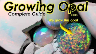 Growing Gemstones Growing a real opal at home and we cut it!