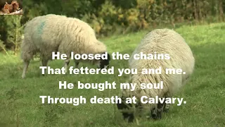 He bought my soul through death at Calvary