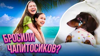 КАМИЛЛА С АРИАНОЙ СДЕЛАЛИ СЮРПРИЗ ЧАПИТОСИКАМ💙