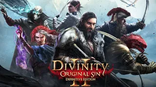 Divinity: Original Sin 2 с Бандой #26