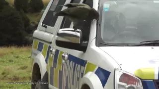 Птицы напали на полицию Bird destroying police car