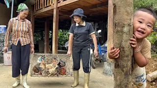 Daily work of a 19 year old single mother - New fence for the farm - buying more chicken breeds