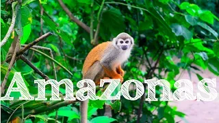 Tour Across the Colombian Amazon (Part 1/2)