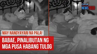 May nangyayari na pala! Babae, pinalibutan ng mga pusa habang tulog | GMA Integrated Newsfeed