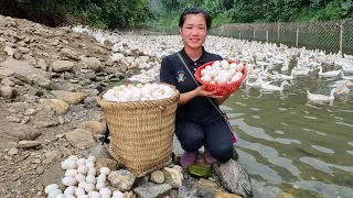 FULL VIDEO: 90 Days Agricultural Harvest go market sell - Gardening & Cooking | Trieu Thi Thuy