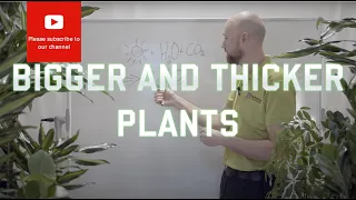 How to grow your plants bigger and thicker