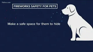 Tips for keeping your dog calm during fireworks