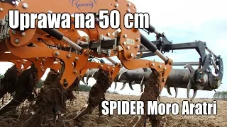 Uprawa na 50 cm – w polu pług dłutowy SPIDER Moro Aratri i Claas Arion 650