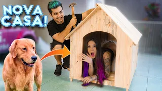 NOVA CASINHA DE MADEIRA DOS CACHORROS! - Vida de Maloucos #26