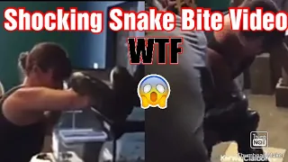 Snake Bites lady and wraps around her arm and want let go OMG!!!