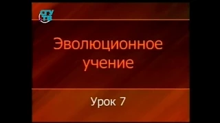 Теория эволюции. Урок 7. Концепции макроэволюции