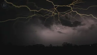 ⚡ Rolling Thunder Sleep Ambience with Clear Relaxing Sounds of Lightning and Rain Falling on Leaves.