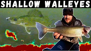 Ice Fishing SHALLOW Walleyes (Underwater Footage) -  How to find the "Spot on the Spot" Transition