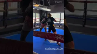CANELO SPARRING FOR JERMELL CHARLO FIGHT