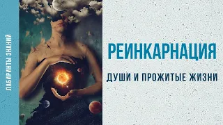 Души и прожитые жизни - Лабиринты Знаний