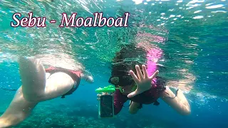 Моалбоал. Филиппины - остров Себу