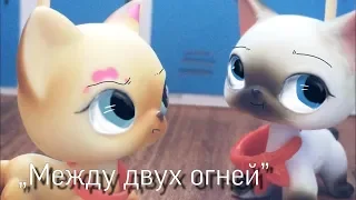 LPS сериал: „Между двух огней” 5 серия [1 сезон]