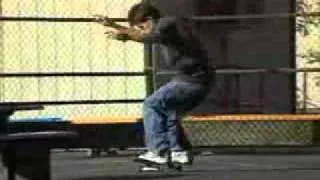 Rodney Mullen - Tony Hawk Pro Skater 2