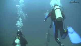 Team A (for awsome) Tofo manta dive on Giants castle.