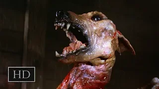 Нечто (1982) - Сожжение Собаки Мутанта