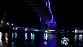 Woman dies in Harbor Bridge incident