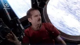 What does space smell like? Astronaut Chris Hadfield answers your questions