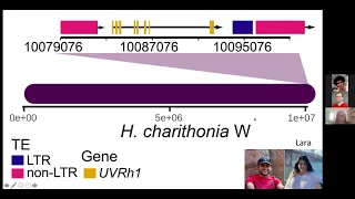 Contrib Talks 1 Genetics/Genomics & Synthetic Biology