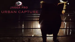 WILD HOG CONTROL | JAGER PRO™ SHOW | URBAN CAPTURE SUCCESS